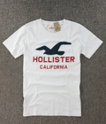 Hình ảnh: Chuyên Sản Xuất Áo Thun VNXK Hollister California Hollister Surfboard Hollister Riders