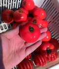 Hình ảnh: Michi Mart Hoa quả sạch, hoa quả nhập khẩu, trái cây miền nam GlobalGap, VietGap