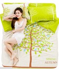 Hình ảnh: Bộ chăn ga cotton