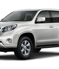 Hình ảnh: Sức mạnh tạo nên sự hoàn hảo của LAND CRUISER PRADO