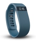Hình ảnh: Đồng hồ do nhịp tim Fitbit Charge Wireless Activity Wristband, Slate, Large