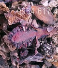 Hình ảnh: Nấm Tỏa Dương khô Nấm Ngọc Cẩu khô Nấm Cu Chó ích tinh huyết mạnh tình dục