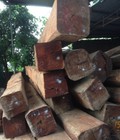 Hình ảnh: Bán gỗ Căm Xe dầu campuchia