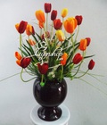 Hình ảnh: Hoa Tulip nhỏ