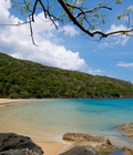 Hình ảnh: Tour du lịch Côn Đảo giảm giá