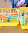 Hình ảnh: Lồng nuôi chuột hamster cỡ lớn, đầy đủ đồ chơi,ship TPHCM