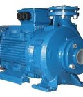 Hình ảnh: Nhà cung cấp phân phối máy bơm pccc hiệu Windy,máy bơm chữa cháy điện,diesel,bù áp