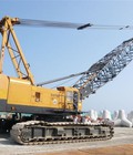 Hình ảnh: Bán cho thuê xe cẩu bảnh xích/bánh lốp Hitachi/ sumitomo/Kobelco 30T/40T/50T/60T/70T....