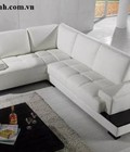 Hình ảnh: Sofa SF16 (2)