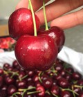 Hình ảnh: Cung cấp sỉ lẽ cherry nhập khẩu Úc