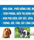 Hình ảnh: Nhận trông, giữ cún miu khi khách vắng nhà