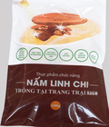 Hình ảnh: Nấm linh chi đỏ trồng tại trang trại Sago