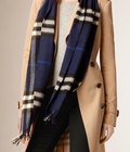 Hình ảnh: Áo khoác, áo len, khăn len cashmere Burberry, ASOS dành cho chị em mùa Thu Đông 2015