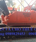 Hình ảnh: Ban va cho thue cau banh xich 50t/cho thue cau banh xich 50 tan