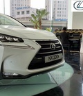 Hình ảnh: Lexus NX 200t giao ngay các màu, bảo dưỡng miễn phí lên đến 3 năm