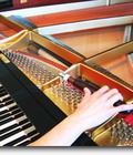 Hình ảnh: Chuyên lên dây, sửa chữa, đại tu làm mới đàn piano cơ giá chỉ từ 500.000 đ