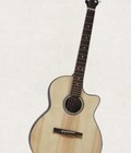 Hình ảnh: Đàn guitar acoustic DVE70