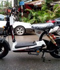 Hình ảnh: Tưng bừng giảm giá chào hè xe đạp điện vespa , zoomer, nijia, giant m133...nhập khẩu chính hãng 2016