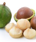 Hình ảnh: Hạt sấy nhập khẩu Đức: Óc chó, Macadamia, hạnh nhân, chà là, yến mạch, hạt phỉ, hồ đào....