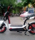 Mua xe đạp đIện giá rẻ nijia, vespa, zoomer, giant m133s plus nhâp khẩu chính hãng 2016, có bán trả góp