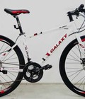 Hình ảnh: Xe đạp đường phố Galaxy RL200
