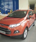 Hình ảnh: Các chi phí phát sinh khi mua xe ô tô,Ford Ecosport 2016 Tiatanium giá tốt