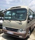 Hình ảnh: Hyundai County Limousine Thân Dài Ghế 2 2 Châu Âu Giao Ngay.