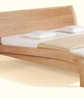 Hình ảnh: rainbow bed 1,6 M KT362