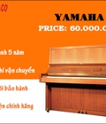 Hình ảnh: Bộ đôi Piano đang giảm giá tháng 7