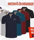 Hình ảnh: Áo thun nam có cổ burberry