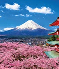 Hình ảnh: Tour du lịch Nhật bản giá rẻ