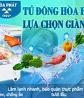 Hình ảnh: Đại lý cấp 1 chuyên tủ đông 100l, tủ đông Funiki 100 lít , tủ đông Funiki HCF100S1PN giá rẻ nhất tại HN