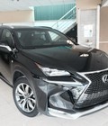 Hình ảnh: Lexus NX200t F sport