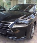 Hình ảnh: Giao ngay xe Lexus NX300H màu đen, giấy tờ đầy đủ, bảo hành 36 tháng