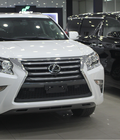 Hình ảnh: GIao ngay xe Lexus GX 460 nhiều màu