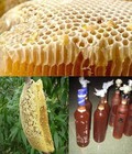 Hình ảnh: Mật ong và nghệ vàng