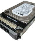 Hình ảnh: [Tổng hợp] HDD 3.5'' chuyên dụng cho các dòng Server Dell, HP, IBM...