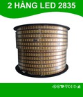 Hình ảnh: Đèn led dây đôi 2 hàng trang trí siêu sáng 2835 TLC