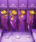 Hình ảnh: Hoa hồng mạ vàng 24k chuyên sỉ sll giá chỉ 30K tại Hà Nội