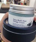 Hình ảnh: Kem dưỡng da tổ yến Aqua bird s Nest energy cream