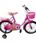 Hình ảnh: Xe đạp cho bé hàng Nhựa Chợ Lớn giá rẻ