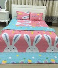 Hình ảnh: CHăn ga gối trần bông chất liệu cotton popy PLT06