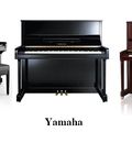 Hình ảnh: Bán đàn piano cơ giá rẻ nhất TPHCM