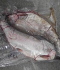Hình ảnh: Cá hồi cá tầm sapa tươi ngon