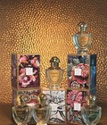 Hình ảnh: Xách tay nước hoa Pháp Fragonard