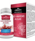 Hình ảnh: Viên tảo đỏ Esteem Red Marine Algae tăng cường sức khỏe tim mạch và tăng sức đề kháng