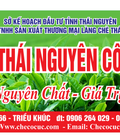 Hình ảnh: 3 bước để pha trà đá ngon tuyệt