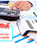 Hình ảnh: Dịch vụ báo cáo thuế của ANPHA