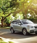 Hình ảnh: Xe Subaru Forester 2.0 XT, Turbo, 2017 đủ màu