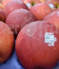 Hình ảnh: Táo Fuji Mỹ Hương vị ngọt ngào tại Klever Fruits Hà Nội